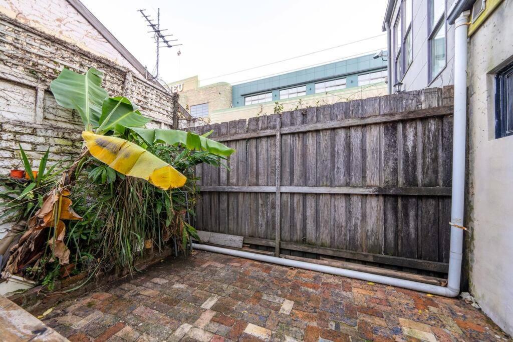 2bds& Darlingh&fishm Super Cozy Casa vacanze Sydney